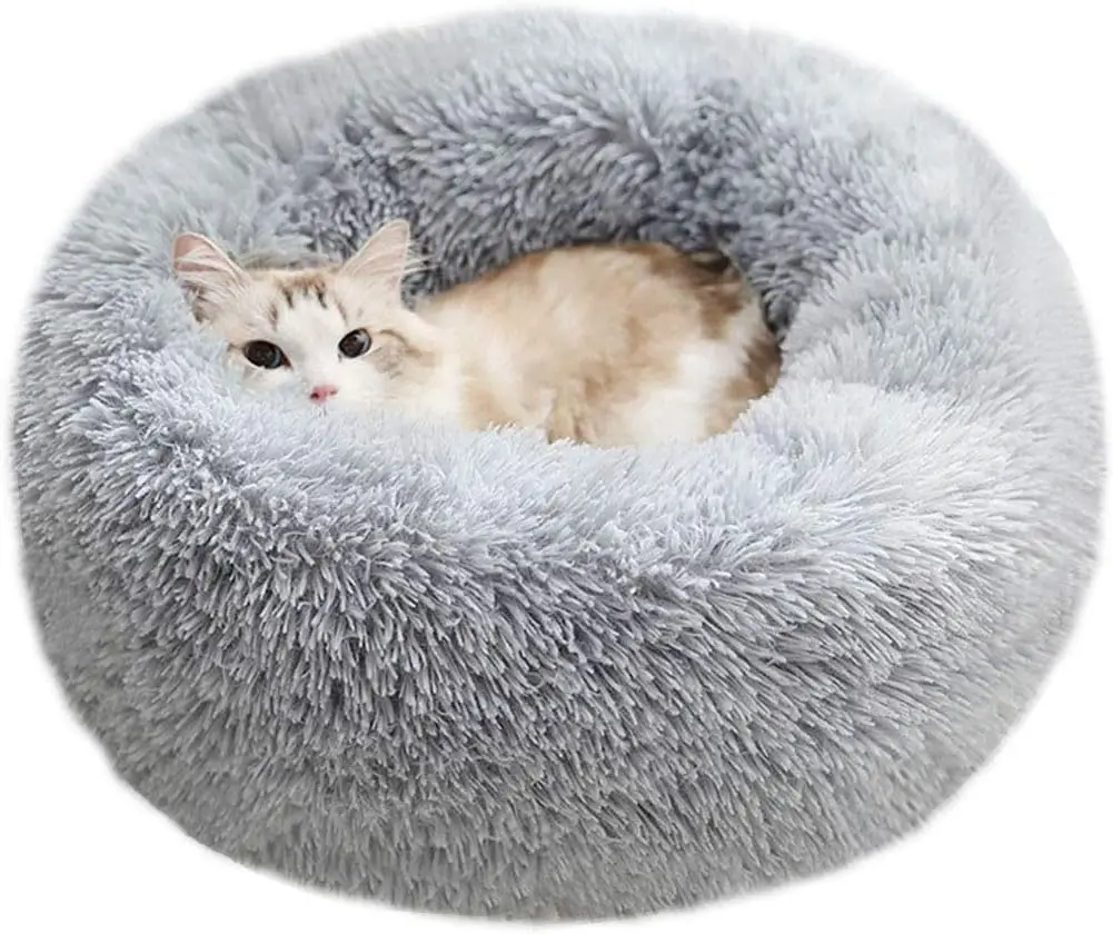 cat lying down in plush a cat bed