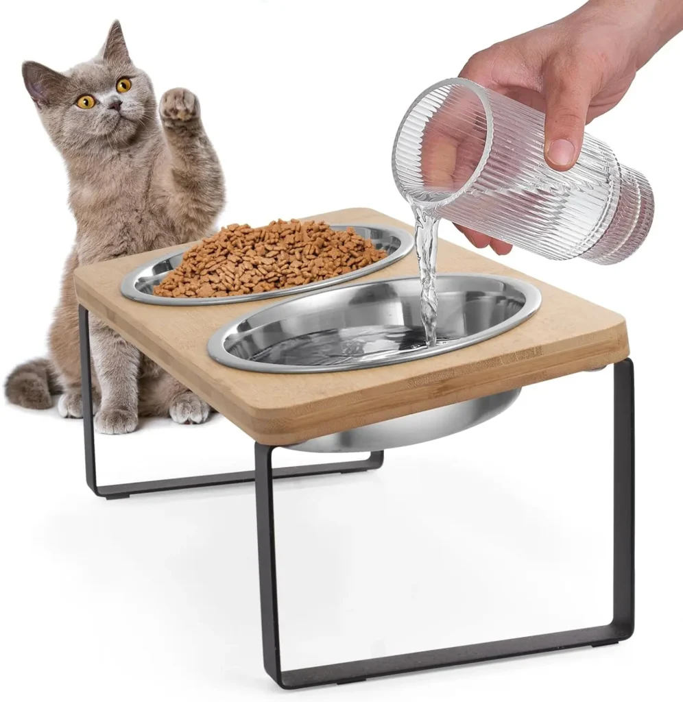 cat food bowls best cat presents