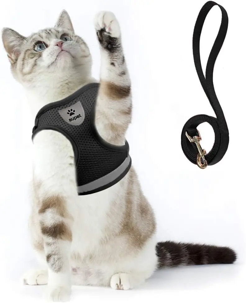 Gifts for New Cat Owners cat harness