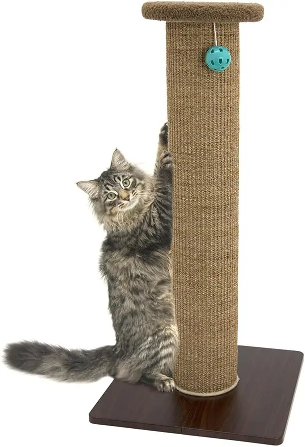 cat scratchers best cat presents