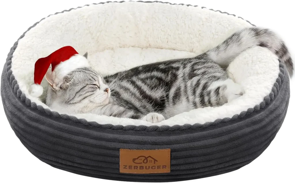 best cat presents cat bed