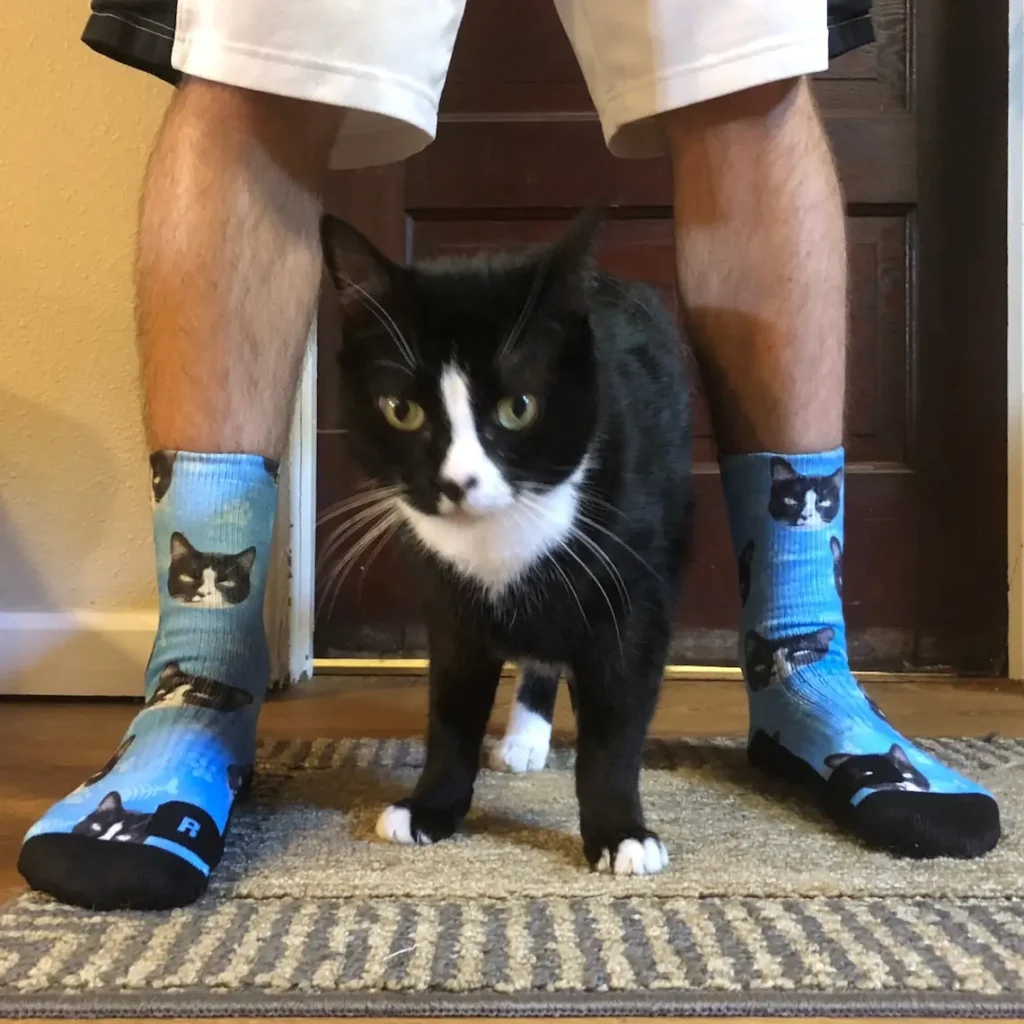 cute cat socks for gift