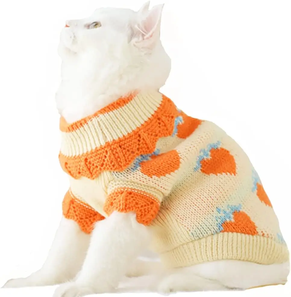 kitten clothes for cat