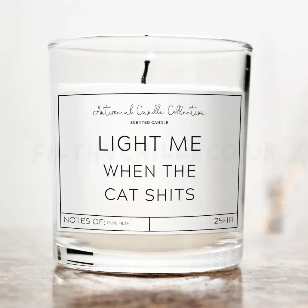 cat candle for best gifst for cat lovers