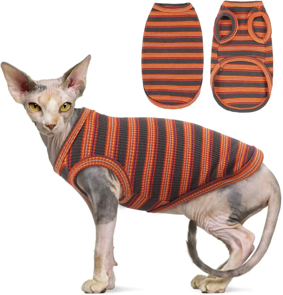 striped dresses for cats