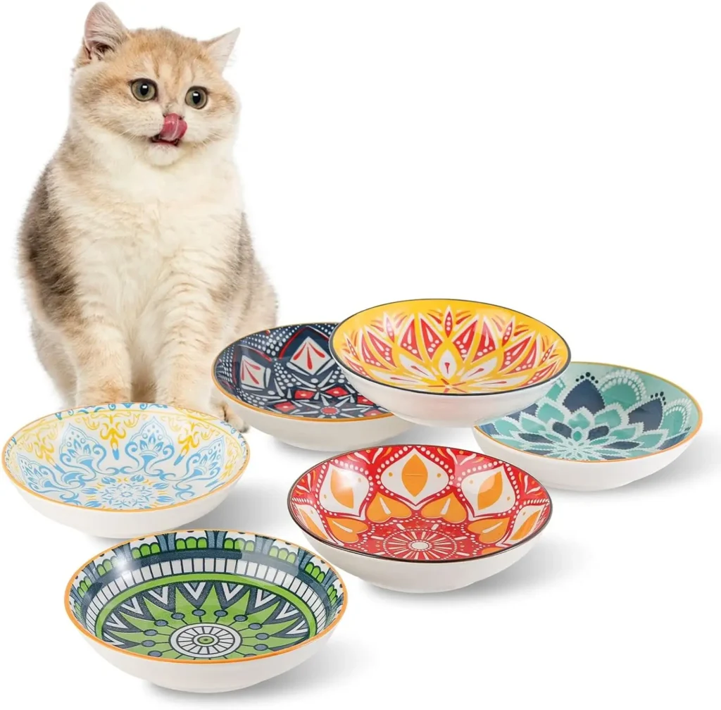 cat present idea cat bowl set