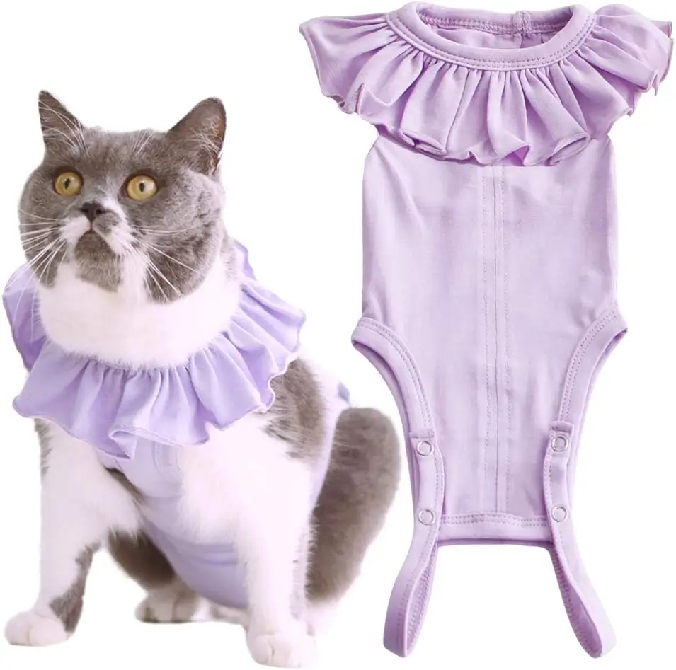 purple cat surgery suit