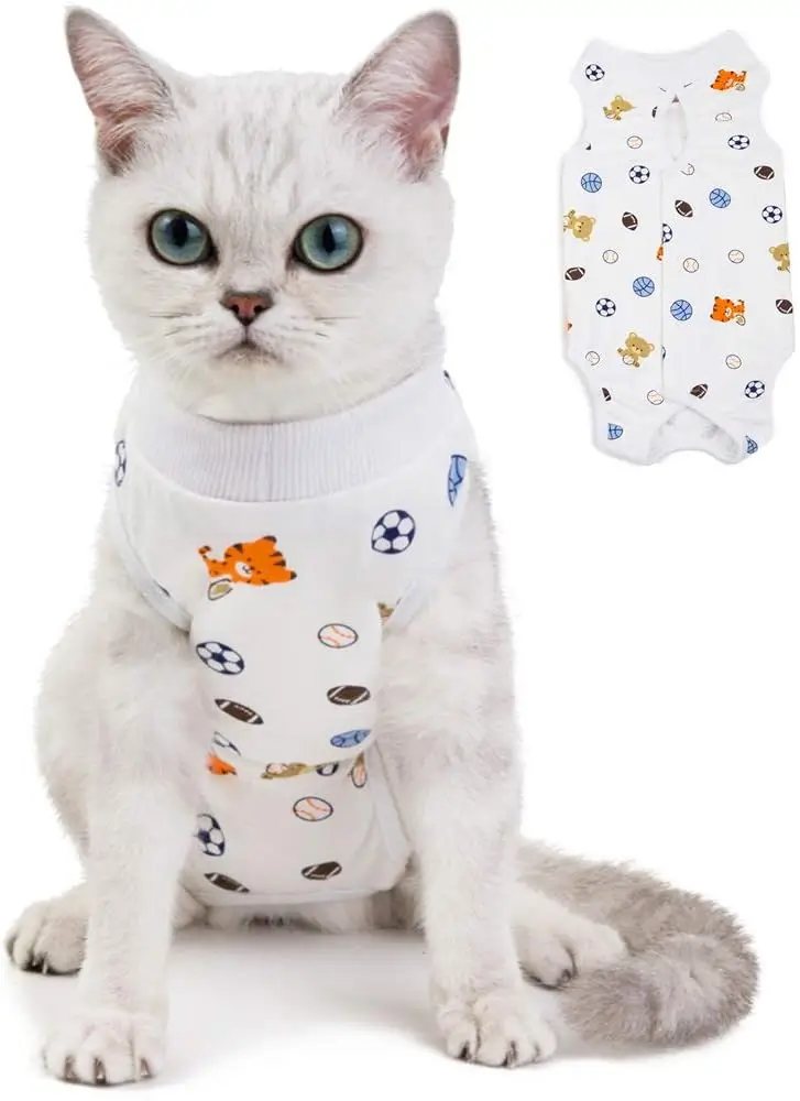 white cat and white cat surgery shirt