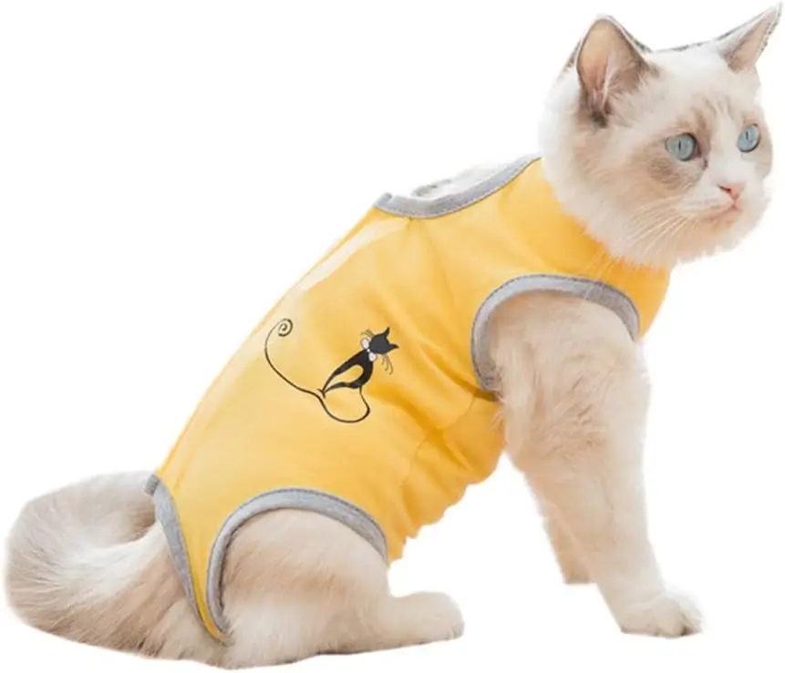 yellow cat surgery suits