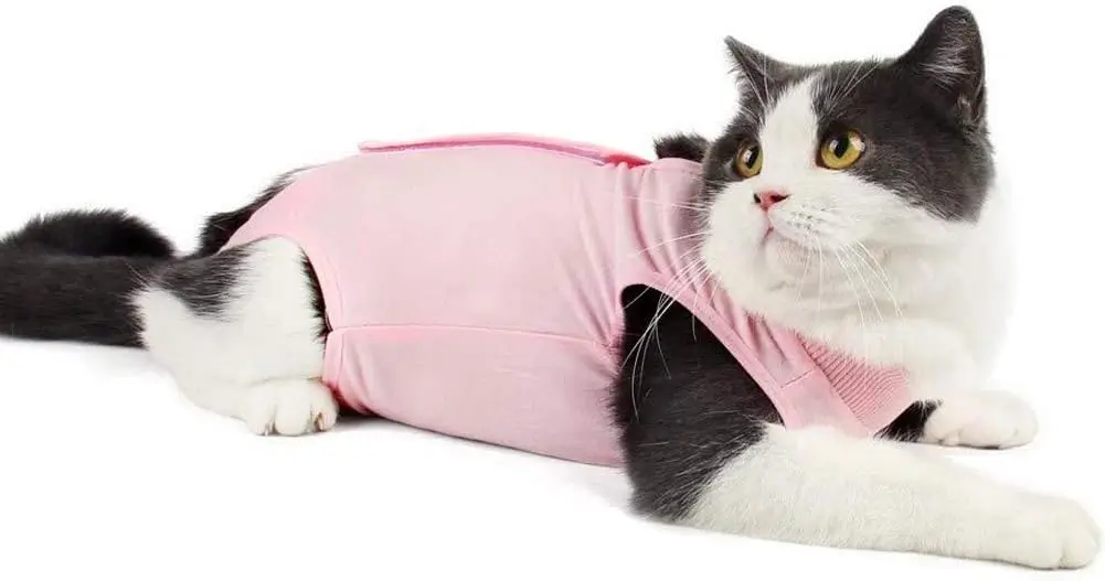 pink cat recovery suits